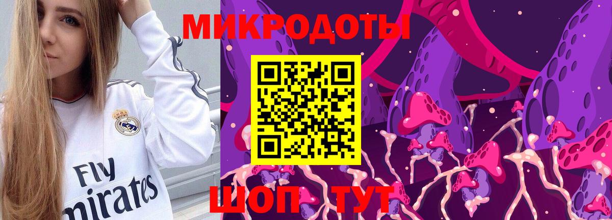 Гатчина  Псилоцибиновые грибы GOLDEN TEACHER  Вход с VPN 