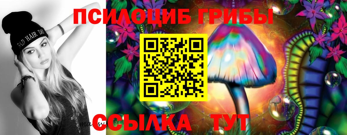 Галлюциногенные грибы прущие грибы Гатчина
